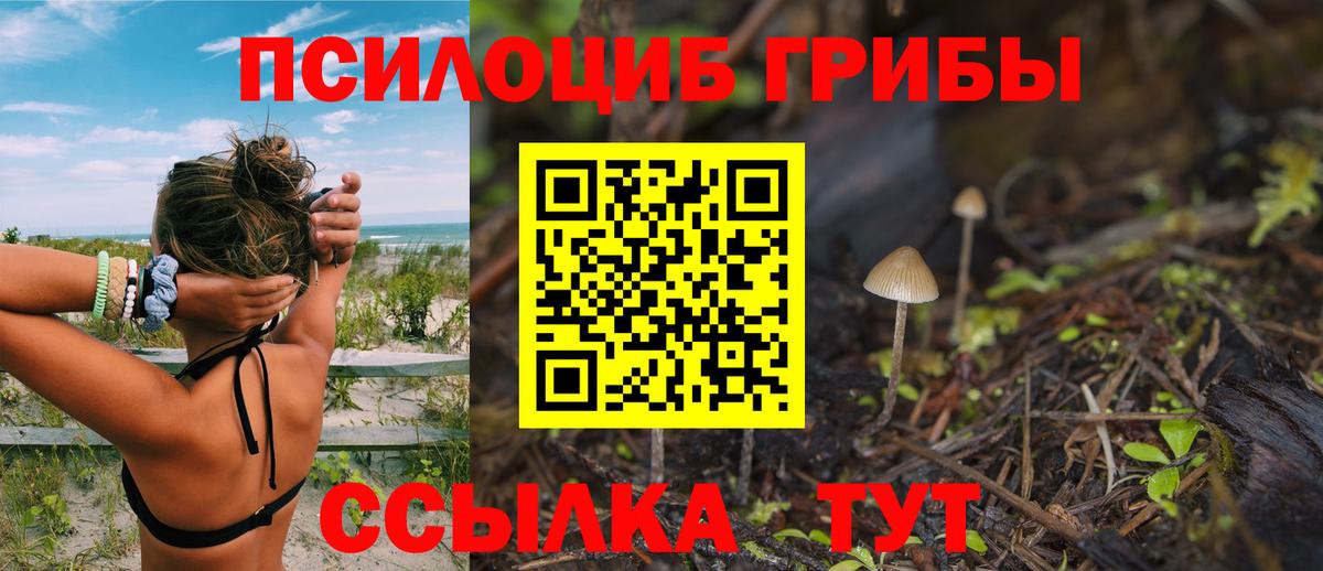 Галлюциногенные грибы Magic Shrooms Анжеро-Судженск